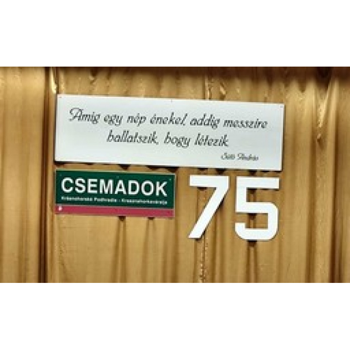 75. výročie založenia Csemadoku – krásne a vydarené podujatie
