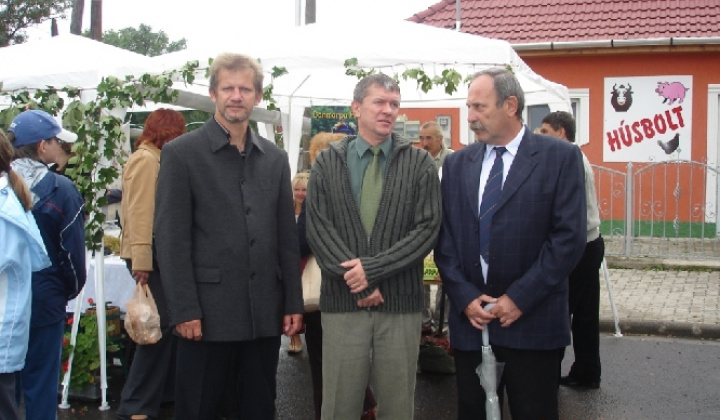 Domoszló 2007