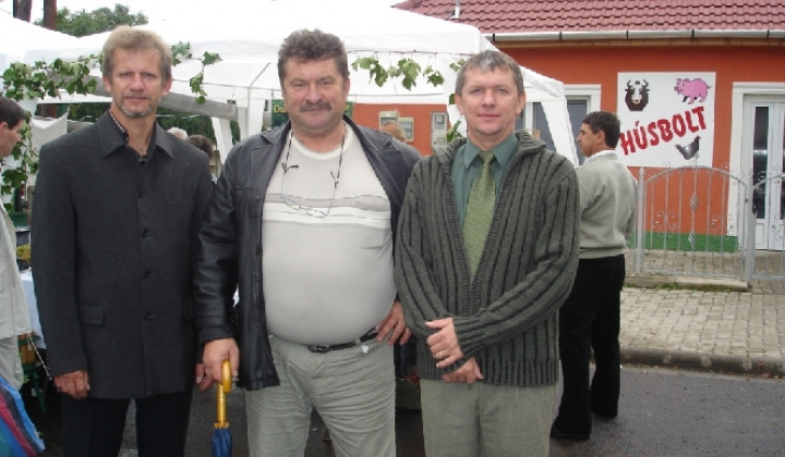 Domoszló 2007