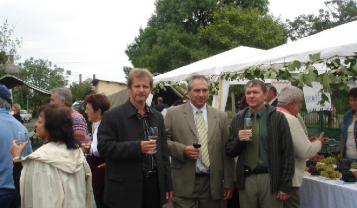 Domoszló 2007