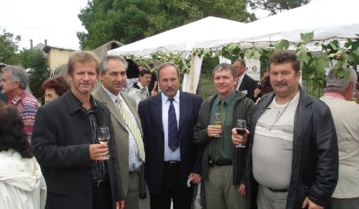 Domoszló 2007