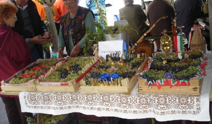 Domoszló 2007