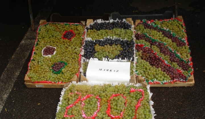 Domoszló 2007