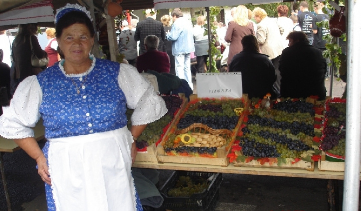 Domoszló 2007