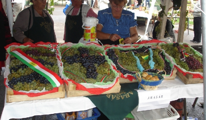 Domoszló 2007