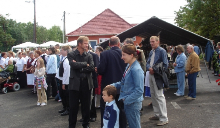 Domoszló 2007