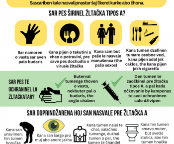 Aktuality / Výskyt žltačky typu A v obci - foto