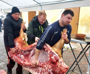 Obecná zabíjačka 2026