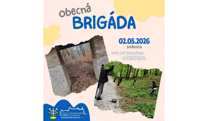 Obecná brigáda