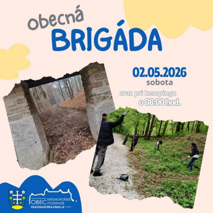 Obecná brigáda